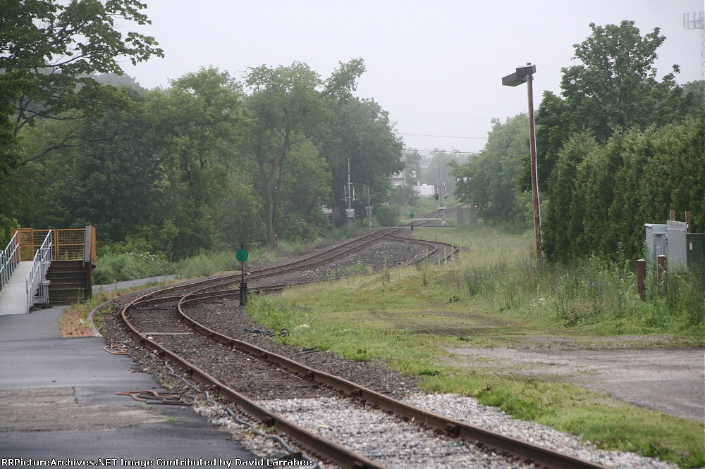 Maine Eastern Yard Today